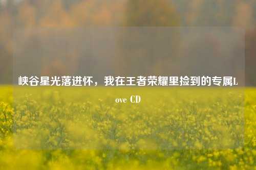 峡谷星光落进怀，我在王者荣耀里捡到的专属Love CD