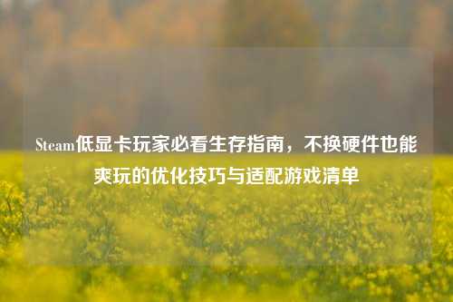 Steam低显卡玩家必看生存指南，不换硬件也能爽玩的优化技巧与适配游戏清单
