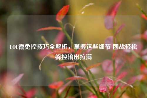 LOL霞免控技巧全解析，掌握这些细节 团战轻松躲控输出拉满