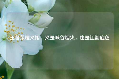 王者荣耀义翔，义是峡谷烟火，也是江湖底色