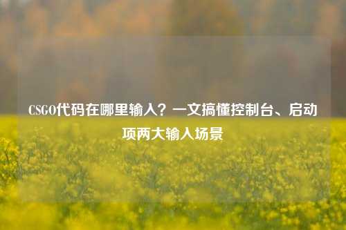 CSGO代码在哪里输入？一文搞懂控制台、启动项两大输入场景