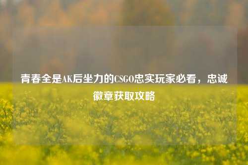 青春全是AK后坐力的CSGO忠实玩家必看，忠诚徽章获取攻略