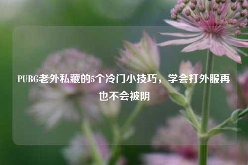 PUBG老外私藏的5个冷门小技巧，学会打外服再也不会被阴