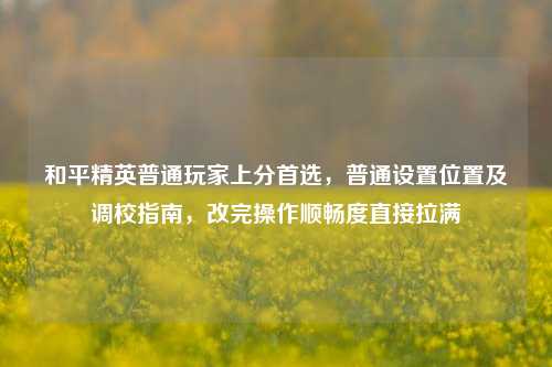 和平精英普通玩家上分首选，普通设置位置及调校指南，改完操作顺畅度直接拉满