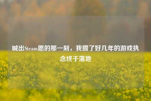 喊出Steam愿的那一刻，我攒了好几年的游戏执念终于落地