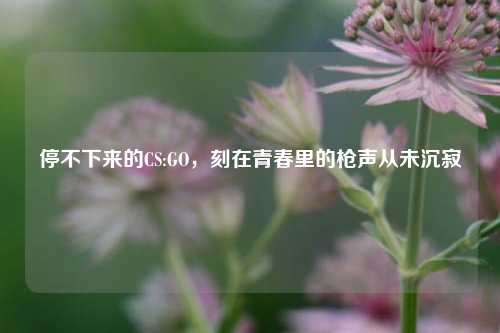 停不下来的CS:GO，刻在青春里的枪声从未沉寂