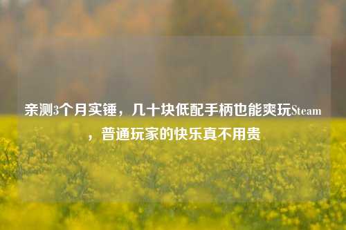 亲测3个月实锤，几十块低配手柄也能爽玩Steam，普通玩家的快乐真不用贵
