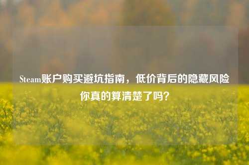 Steam账户购买避坑指南，低价背后的隐藏风险你真的算清楚了吗？