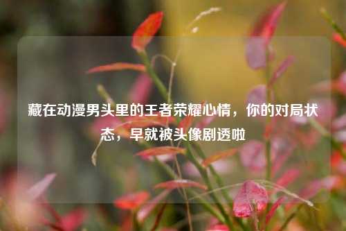 藏在动漫男头里的王者荣耀心情，你的对局状态，早就被头像剧透啦