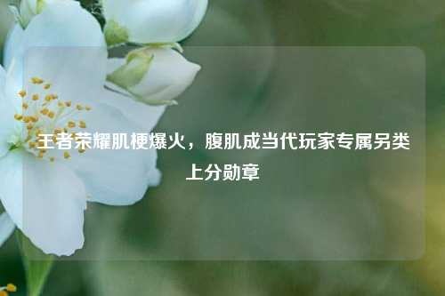 王者荣耀肌梗爆火，腹肌成当代玩家专属另类上分勋章