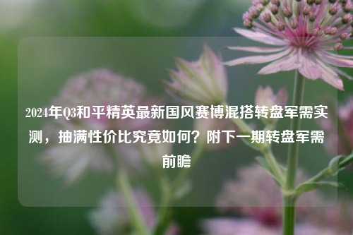 2024年Q3和平精英最新国风赛博混搭转盘军需实测，抽满性价比究竟如何？附下一期转盘军需前瞻