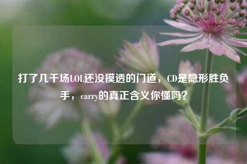 打了几千场LOL还没摸透的门道，CD是隐形胜负手，carry的真正含义你懂吗？