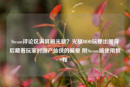 Steam评论区满屏刷光腿？光腿MOD玩梗出圈背后藏着玩家对国产仙侠的偏爱 附Steam端使用教程