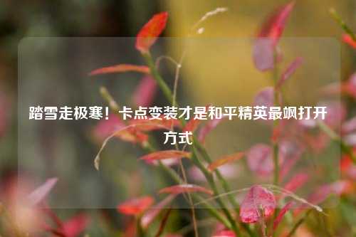 踏雪走极寒！卡点变装才是和平精英最飒打开方式