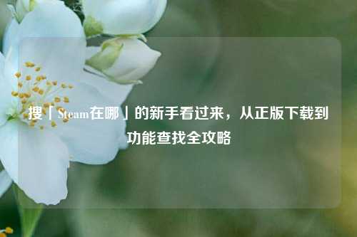 搜「Steam在哪」的新手看过来，从正版下载到功能查找全攻略