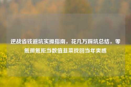 逆战省钱避坑实操指南，花几万踩坑总结，零氪微氪拒当数值韭菜找回当年爽感