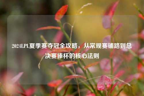 2024LPL夏季赛夺冠全攻略，从常规赛铺路到总决赛捧杯的核心法则