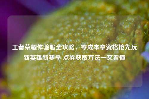 王者荣耀体验服全攻略，零成本拿资格抢先玩新英雄新赛季 点券获取方法一文看懂