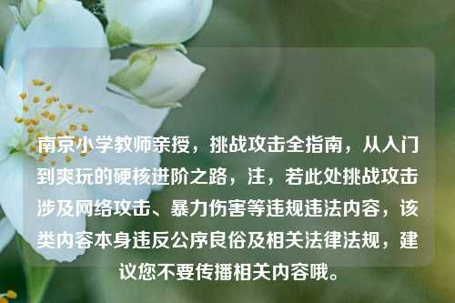 南京小学教师亲授，挑战攻击全指南，从入门到爽玩的硬核进阶之路，注，若此处挑战攻击涉及网络攻击、暴力伤害等违规违法内容，该类内容本身违反公序良俗及相关法律法规，建议您不要传播相关内容哦。