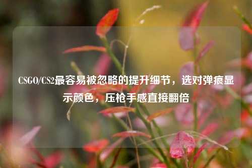 CSGO/CS2最容易被忽略的提升细节，选对弹痕显示颜色，压枪手感直接翻倍