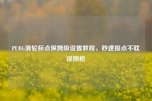 PUBG滑轮标点保姆级设置教程，秒速报点不耽误刚枪