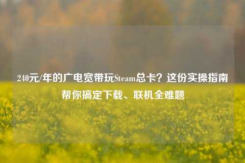 240元/年的广电宽带玩Steam总卡？这份实操指南帮你搞定下载、联机全难题