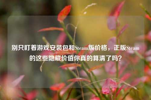 别只盯着游戏安装包和Steam版价格，正版Steam的这些隐藏价值你真的算清了吗？