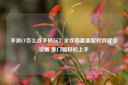 手游CF怎么连手柄玩？全攻略覆盖配对到键位设置 零门槛轻松上手