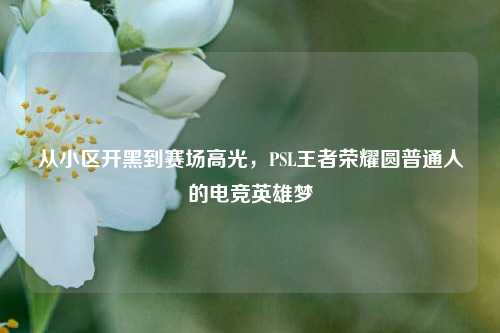 从小区开黑到赛场高光，PSL王者荣耀圆普通人的电竞英雄梦
