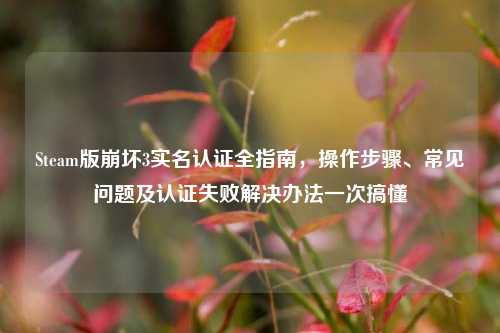 Steam版崩坏3实名认证全指南，操作步骤、常见问题及认证失败解决办法一次搞懂