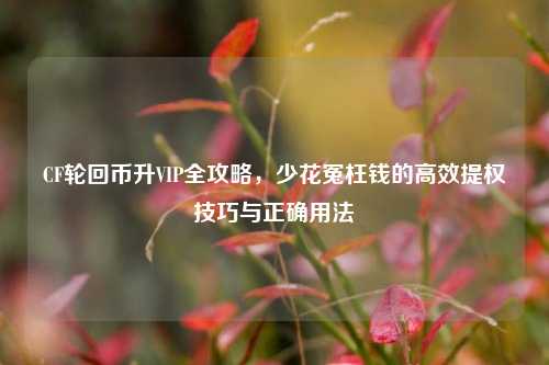 CF轮回币升VIP全攻略，少花冤枉钱的高效提权技巧与正确用法