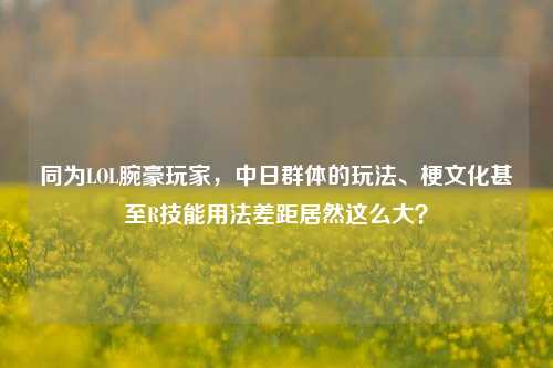 同为LOL腕豪玩家，中日群体的玩法、梗文化甚至R技能用法差距居然这么大？