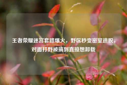 王者荣耀迷宫套路爆火，野区秒变密室逃脱，对面打野被搞到直接想卸载