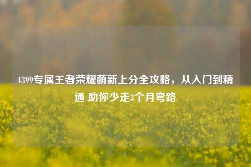 4399专属王者荣耀萌新上分全攻略，从入门到精通 助你少走3个月弯路