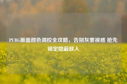 PUBG画面颜色调校全攻略，告别灰雾视感 抢先锁定隐蔽敌人