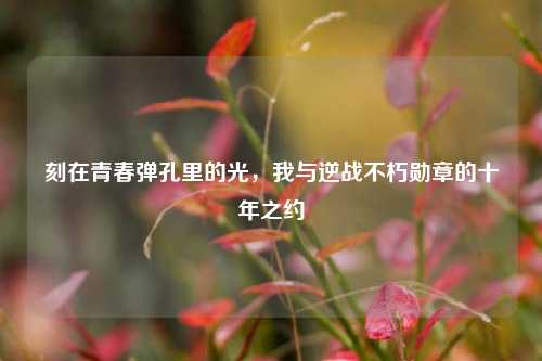 刻在青春弹孔里的光，我与逆战不朽勋章的十年之约