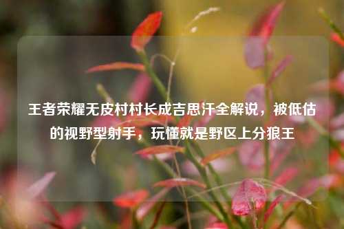 王者荣耀无皮村村长成吉思汗全解说，被低估的视野型射手，玩懂就是野区上分狼王