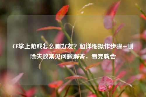 CF掌上游戏怎么删好友？超详细操作步骤+删除失败常见问题解答，看完就会