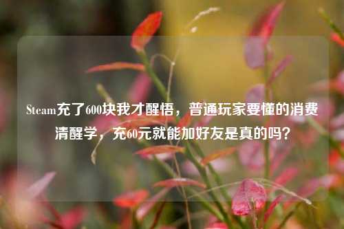 Steam充了600块我才醒悟，普通玩家要懂的消费清醒学，充60元就能加好友是真的吗？