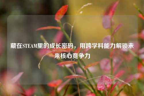 藏在STEAM里的成长密码，用跨学科能力解锁未来核心竞争力