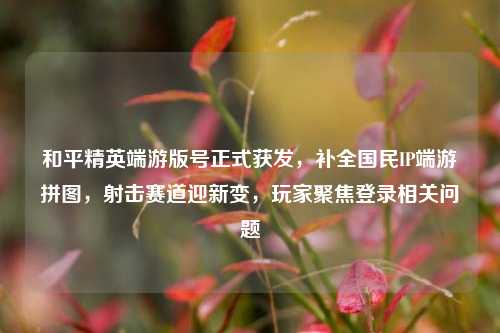 和平精英端游版号正式获发，补全国民IP端游拼图，射击赛道迎新变，玩家聚焦登录相关问题
