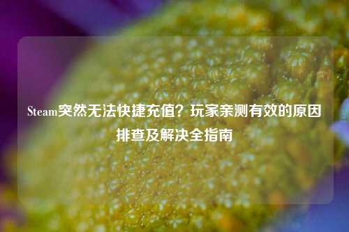 Steam突然无法快捷充值？玩家亲测有效的原因排查及解决全指南