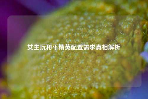 女生玩和平精英配置需求真相解析