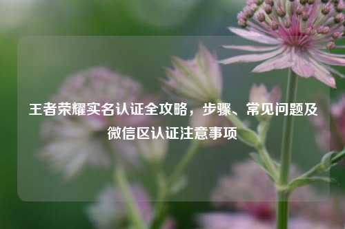 王者荣耀实名认证全攻略，步骤、常见问题及微信区认证注意事项