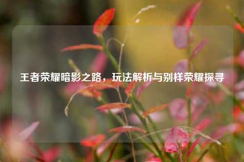 王者荣耀暗影之路，玩法解析与别样荣耀探寻
