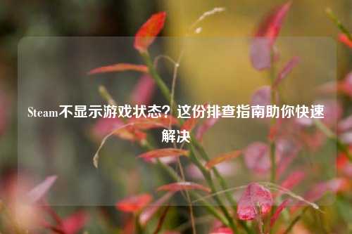 Steam不显示游戏状态？这份排查指南助你快速解决