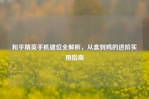 和平精英手机键位全解析，从盒到鸡的进阶实用指南