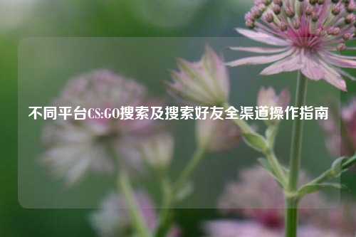 不同平台CS:GO搜索及搜索好友全渠道操作指南