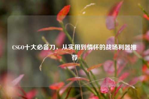 CSGO十大必备刀，从实用到情怀的战场利器推荐