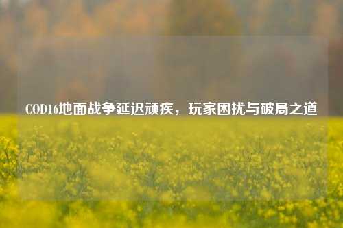 COD16地面战争延迟顽疾，玩家困扰与破局之道
